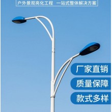 路燈生產(chǎn)廠家 大功率市電LED強光燈定制6米8米10米市政道路照明燈