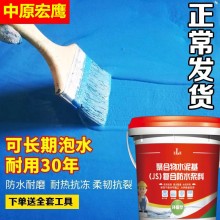 國標JS防水涂料防水膠滲水裂縫防水堵漏王衛(wèi)生間廚房內(nèi)外墻堵漏膠